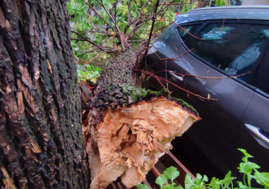 Краткотайна лятна буря се разрази в Пловдив Макар и дъждът