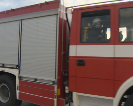 Горят около 1000 дка иглолистни дървета в Кюстендилско