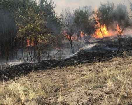 Пожар гори в района на връх Синаница в Пирин