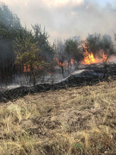 Пожар гори в района на връх Синаница в Пирин