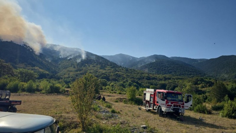 Трета седмица продължава пожарът на българо-гръцката граница