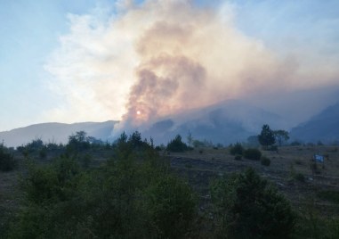 Пожарът в българската територия на планината Славянка продължава да бъде