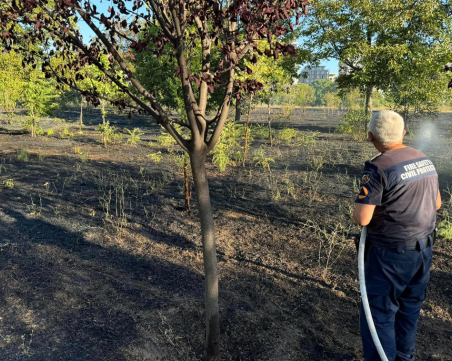 Лумна пожар до парк „Лаута