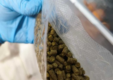 Окръжна прокуратура Пловдив привлече като обвиняеми петима мъже които са от