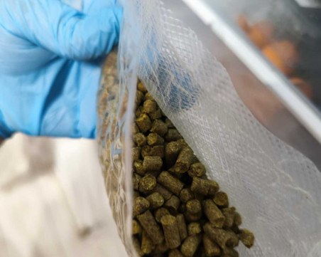 ГДБОП- Пловдив разби търговия с хашиш за непълнолетни, има 5-ма задържани