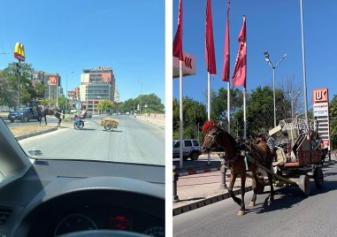 Проблемът с каруците в Пловдив продължава да изнервя пловдивските шофьори