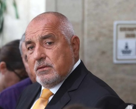 Борисов за номинацията на Горица Грънчарова-Кожарева: Не я познавам, пожелавам ѝ успех