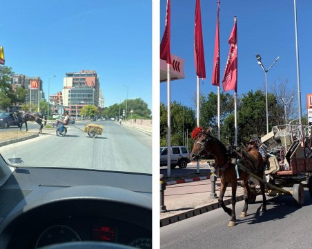 За каруците в Пловдив правила няма! Водачите им се смятат за шофьори и пешеходци
