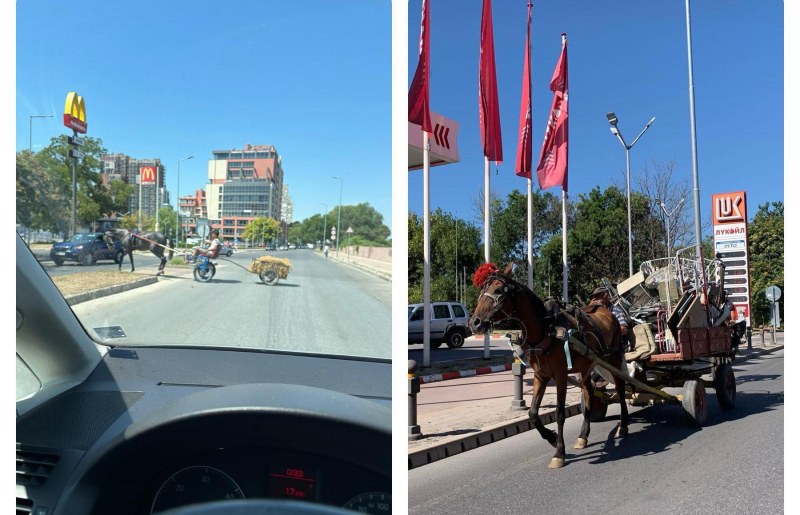 За каруците в Пловдив правила няма! Водачите им се смятат за шофьори и пешеходци