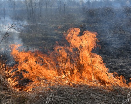 Пожар избухна край Бобошево