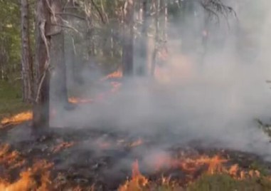 Пожар гори в пресечена местност в Стара планина над крайния