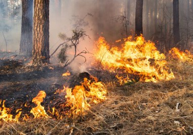 Огромен пожар в РС Македония заплашва да влезе в България