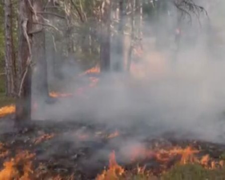 Пожар бушува в Стара планина над Вършец