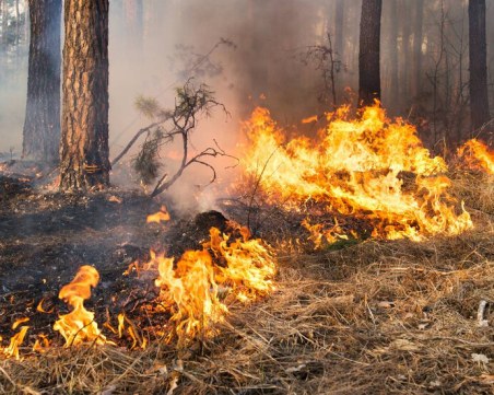 Пожар от РС Македония заплашва да влезе в България