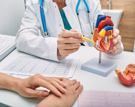 Учени изобретиха метод за създаване на изкуствени кръвоносни съдове