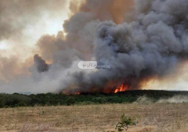 Голям пожар избухна във вилна зона Дондуково в община Брезово