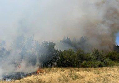 Пожар в района на Държавното горско стопанство в Самоков заплашва
