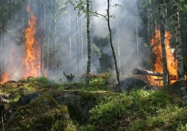 Продължават действията на военнослужещите от Сухопътните войски за овладяване на