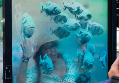 Серията със силуети на различни животни които се появяват на