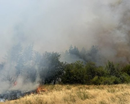 Голям пожар избухна в Самоковско, има опасност да достигне населени места