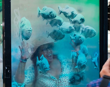 Зоопаркът на Банкси в Лондон се разраства