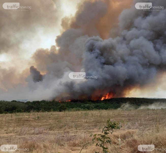 Голям пожар избухна във вилна зона в Брезовско, набират спешно доброволци