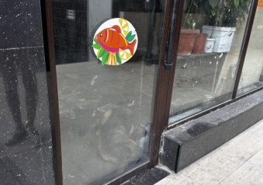 Немската овчарка за която имаше сигнал че бива тормозена и