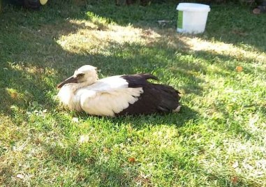 Регионалната инспекция по околната среда и водите – Плевен екип