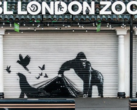 Банкси изненада лондончани с нов графит