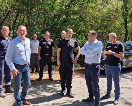 Големият пожар в Брезовско е овладян,  част от огнеборците остават заради риск от разпалване