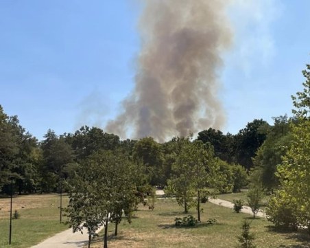 Локализираха пожара в близост до парк 