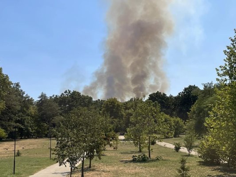 Локализираха пожара в близост до парк 