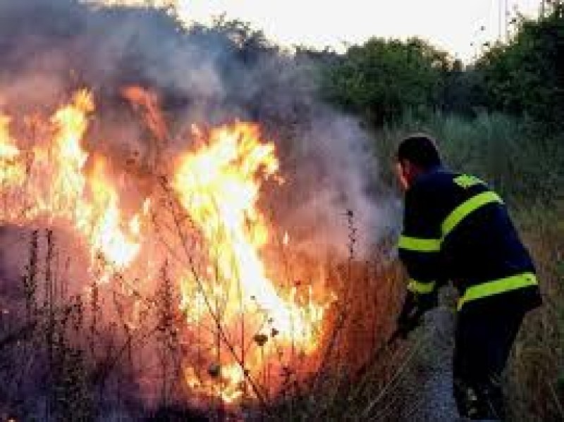 Пожар горя в Пловдивско, изгоряха машини и овошки