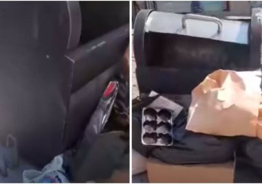 Бебе коте е било премазано от служители на ОП Чистота