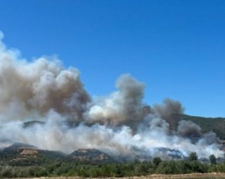 Пожар бушува в непосредствена близост до къщи в Сливен