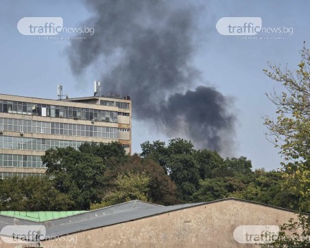Пожар на изхода на Пловдив! Запалиха се сухи треви и боклуци