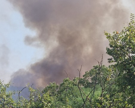 Голям пожар в района на село Елешница