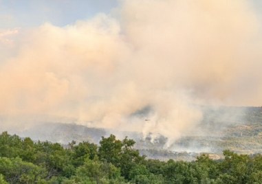 Общо 208 пожара са потушени в България през изминалото денонощие