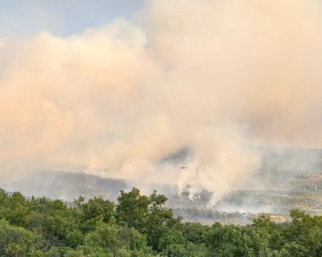 Общо 208 пожара са потушени у нас през изминалото денонощие, трима са пострадали