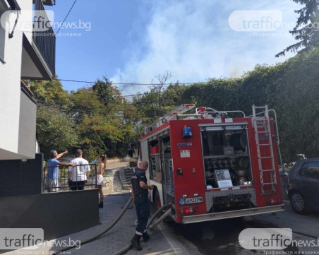 Пожарът на Младежкия хълм бил предизвикан от мъж - палил си барбекю