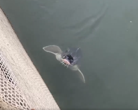 Рибарите са готови на 