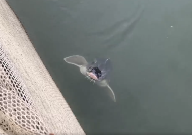 От днес започва намаляване на изпускането на вода от язовир