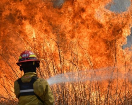 Пожар избухна на българо-турската граница, 12 екипа пожарникари се борят със стихията