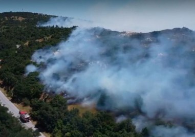 11 противопожарни екипа и горски служители успяха да овладеят пожарът