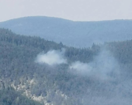 Локализираха пожара край село Лилково