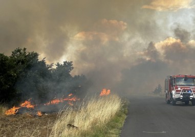 Големият пожар между Хасково и Димитровград който горя в непосредствена