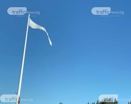 Рожен развя 