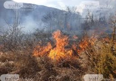 Голям пожар се е запалил този следобед в гората над