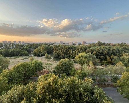 Багери влязоха в острова на Адата, сеч на дървета на него обаче няма