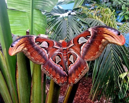 Детски уикенд с награди в Регионалния природонаучен музей – Пловдив